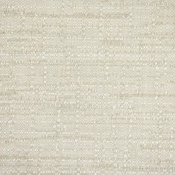 ARENA