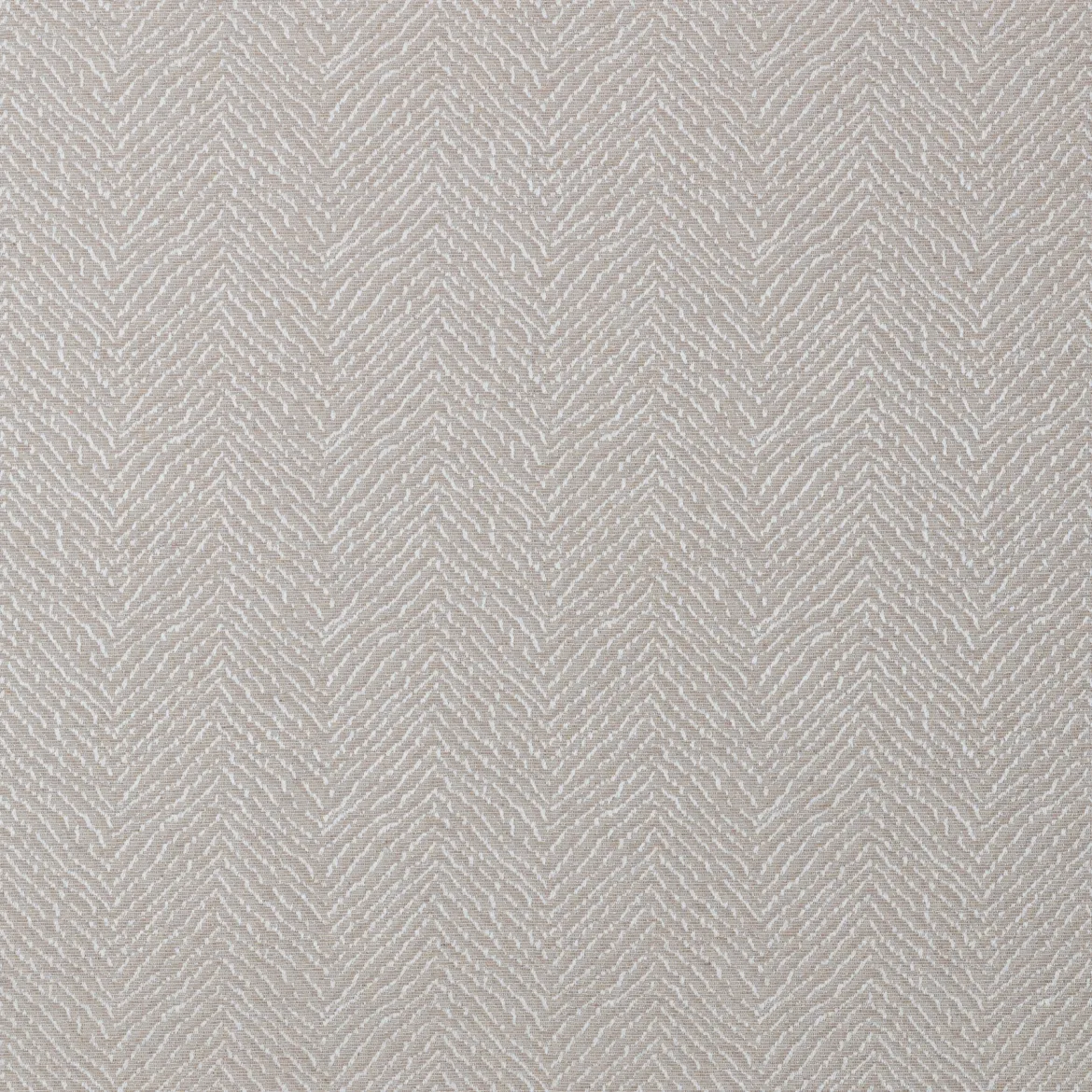 ARENA SPIGA