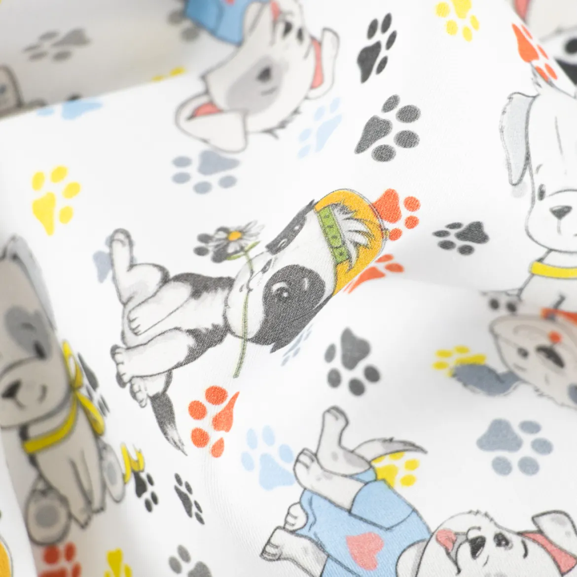 BABY COTONE DIGITALE CANI