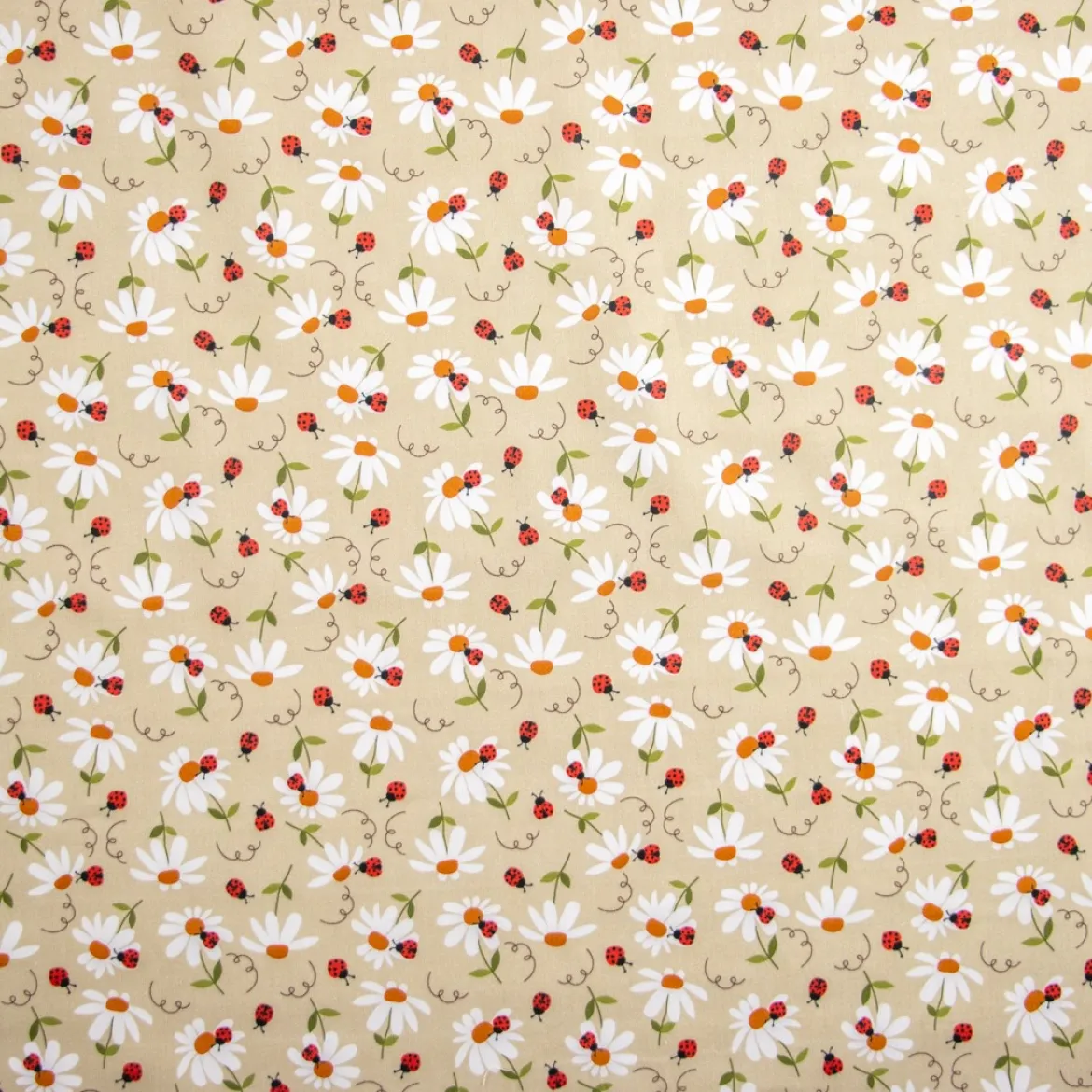BABY COTONE DIGITALE COCCINELLE