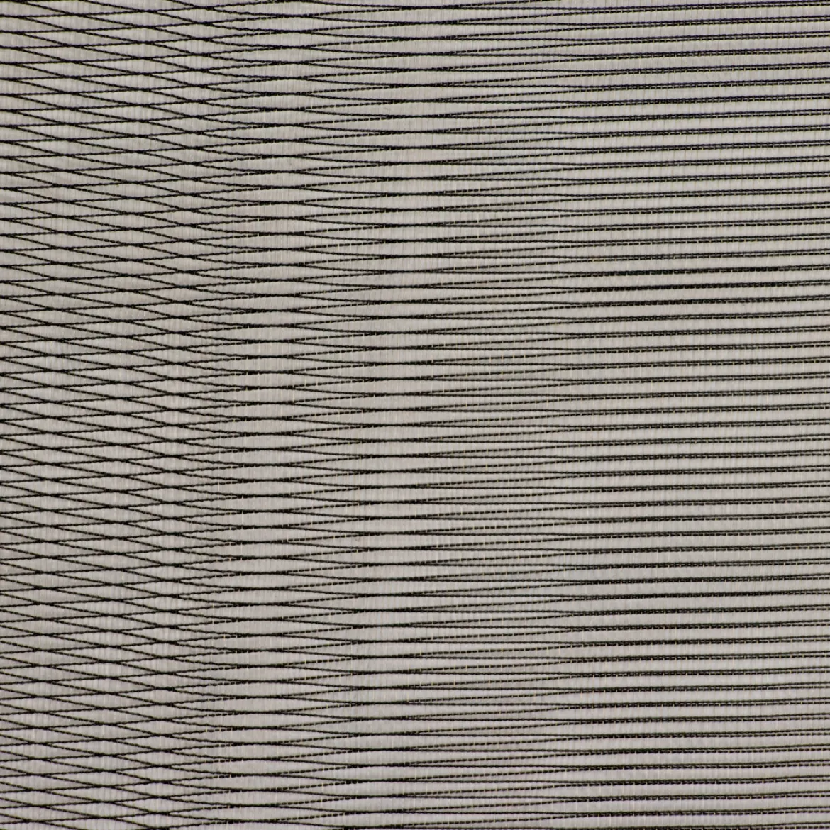 BETULLA TENDA
