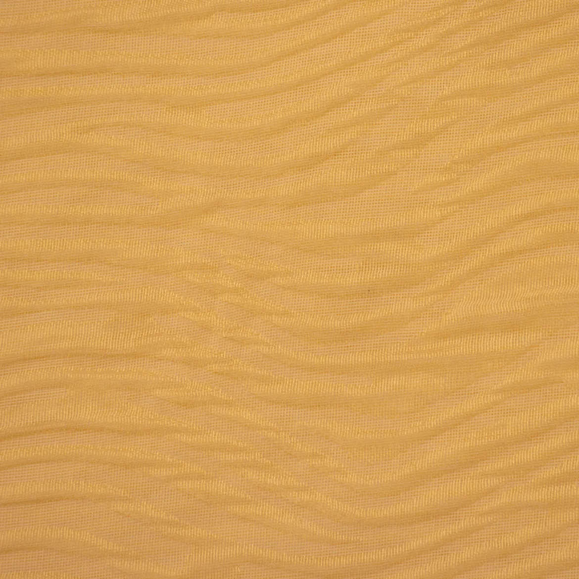 BETULLA TENDA