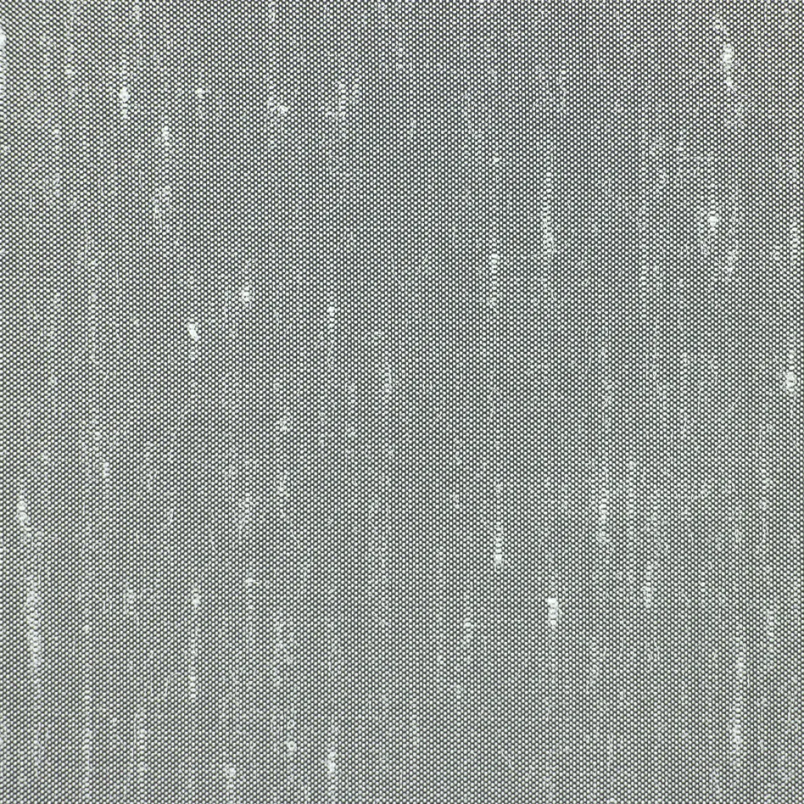 BETULLA TENDA
