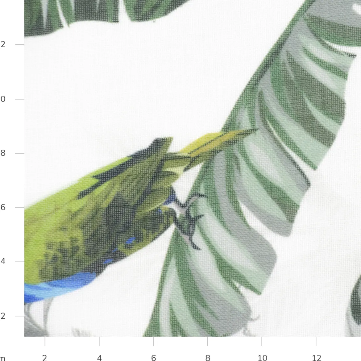 BREMA TENDA FOGLIE, COLIBRÌ STAMPA DIGITALE