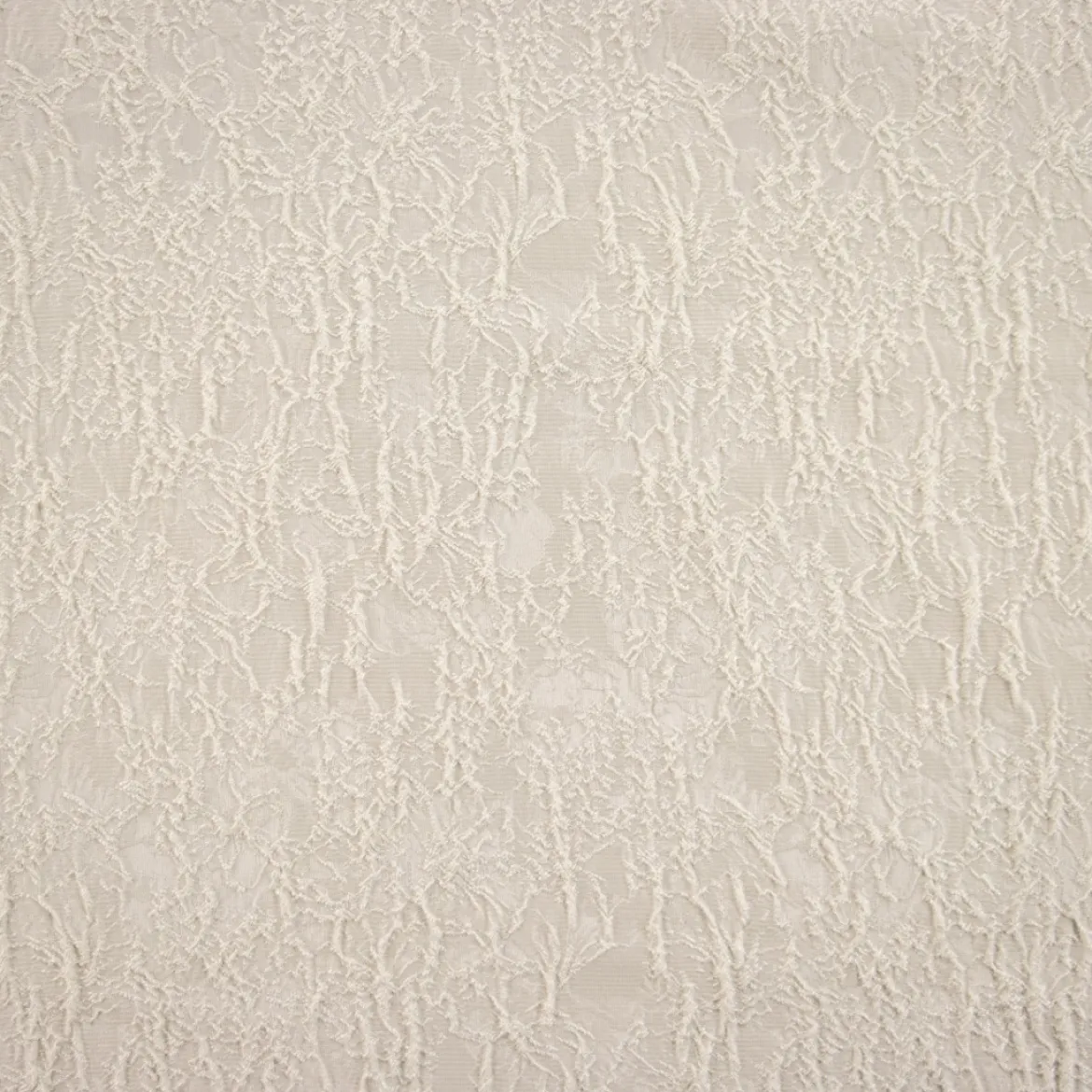 BROCCATO UMBERTO