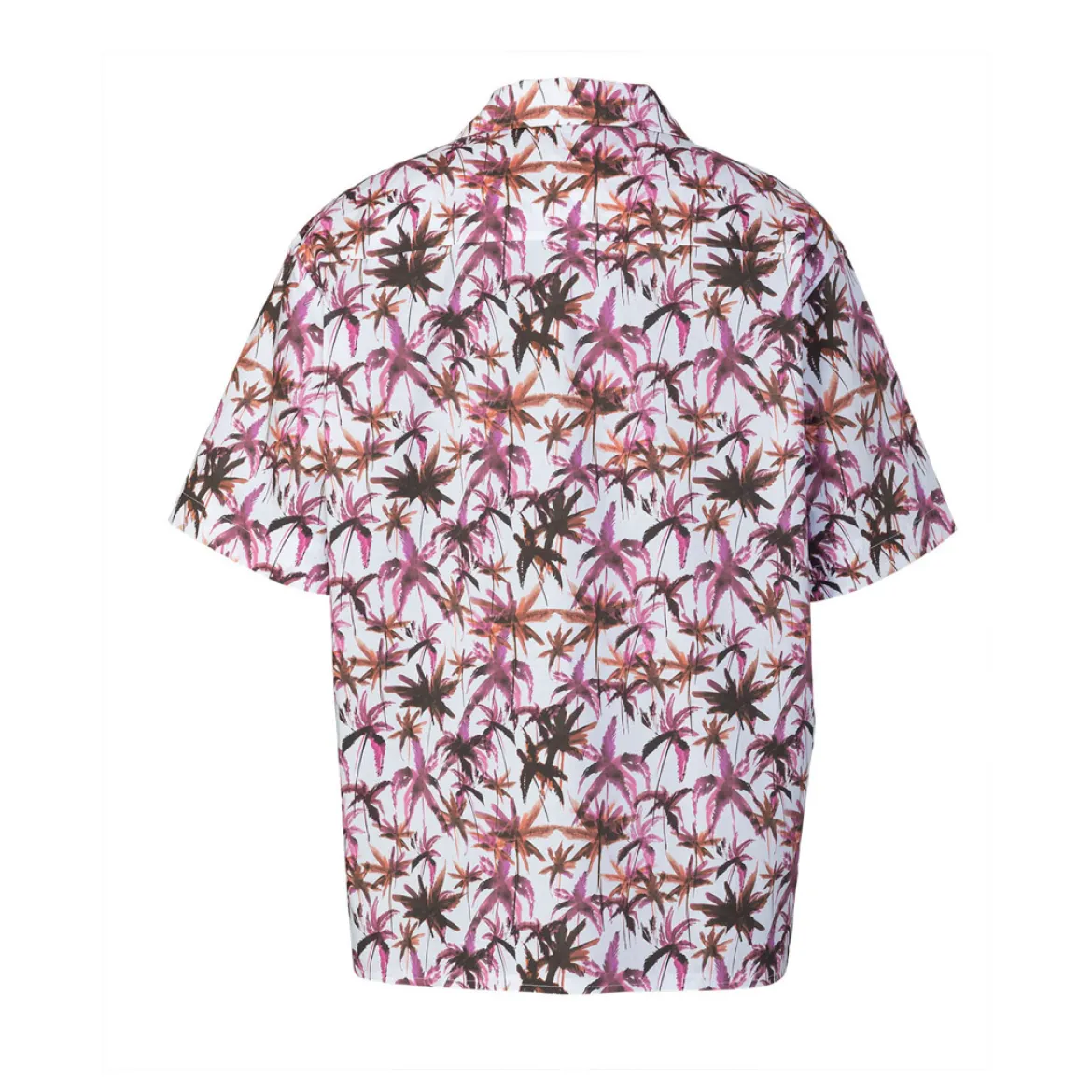 Camicia