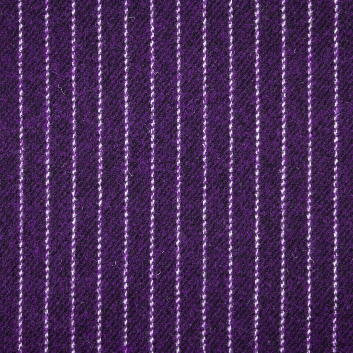 CAPPOTTO POLY OLI GESSATA