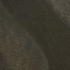 CAVALLINO
