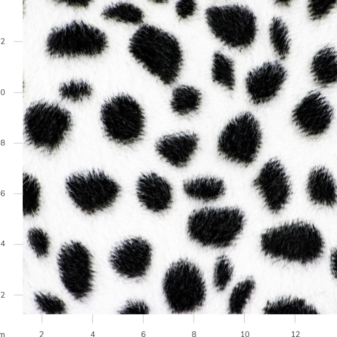 CAVALLINO DALMATA