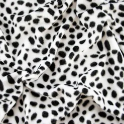 CAVALLINO DALMATA