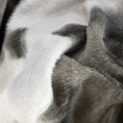 CAVALLINO FOCA
