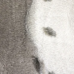 CAVALLINO FOCA