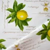 CERATA FANTASIA LIMONI