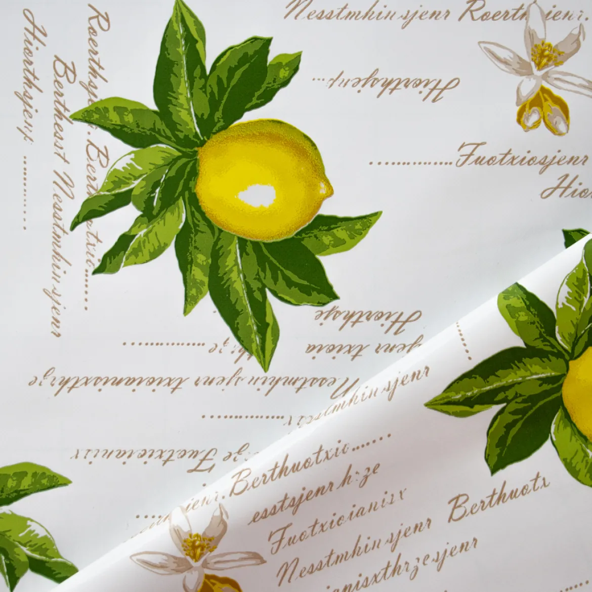 CERATA FANTASIA LIMONI