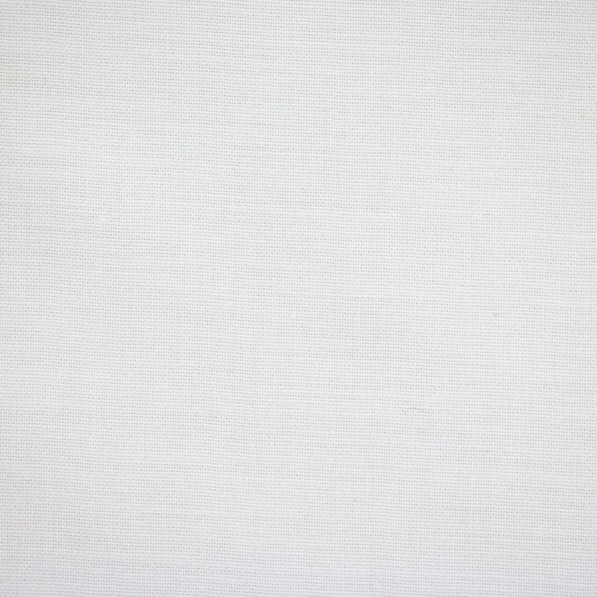 COTONE CAMICERIA
