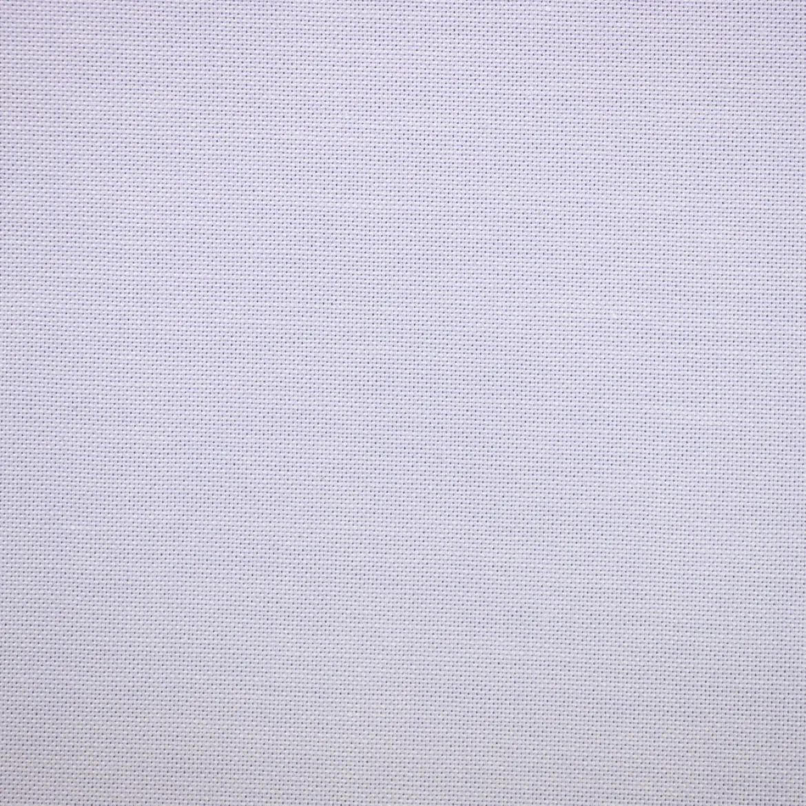 COTONE CAMICERIA