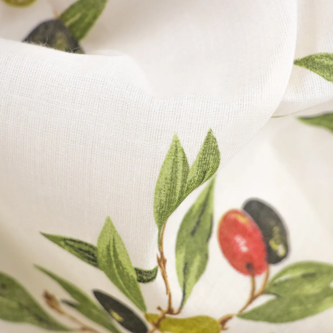 COTONE LEGGERO OLIVE