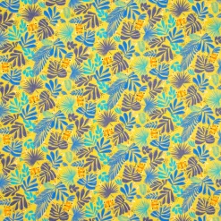 COTONE OLANDA TROPICAL