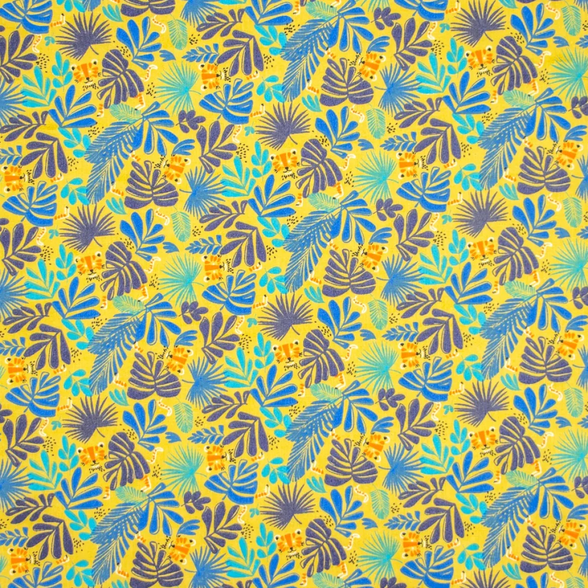 COTONE OLANDA TROPICAL