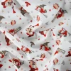 COTONE RAFFAELE BRUJAS