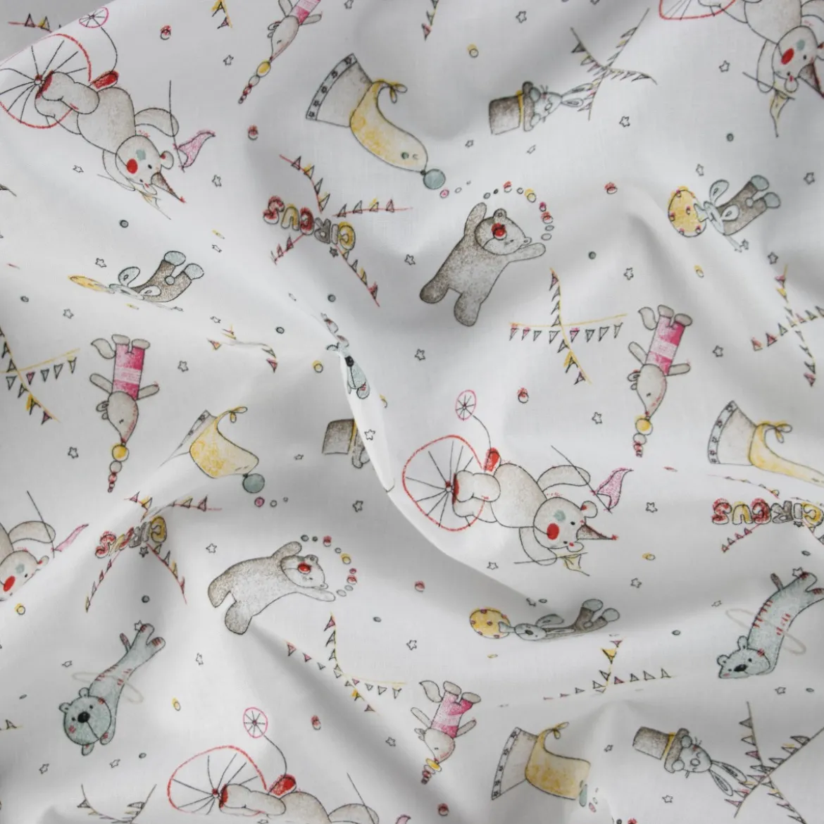 COTONE RAFFAELE CIRCUS