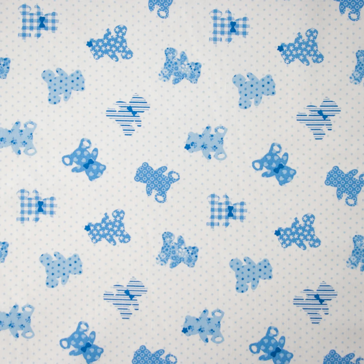 COTONE RAFFAELE DISEGNO TEDDY