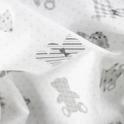 COTONE RAFFAELE DISEGNO TEDDY