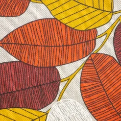 CUJA FICUS