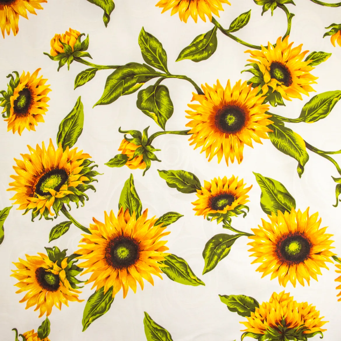 DAMASCATO RAFFA GIRASOLI