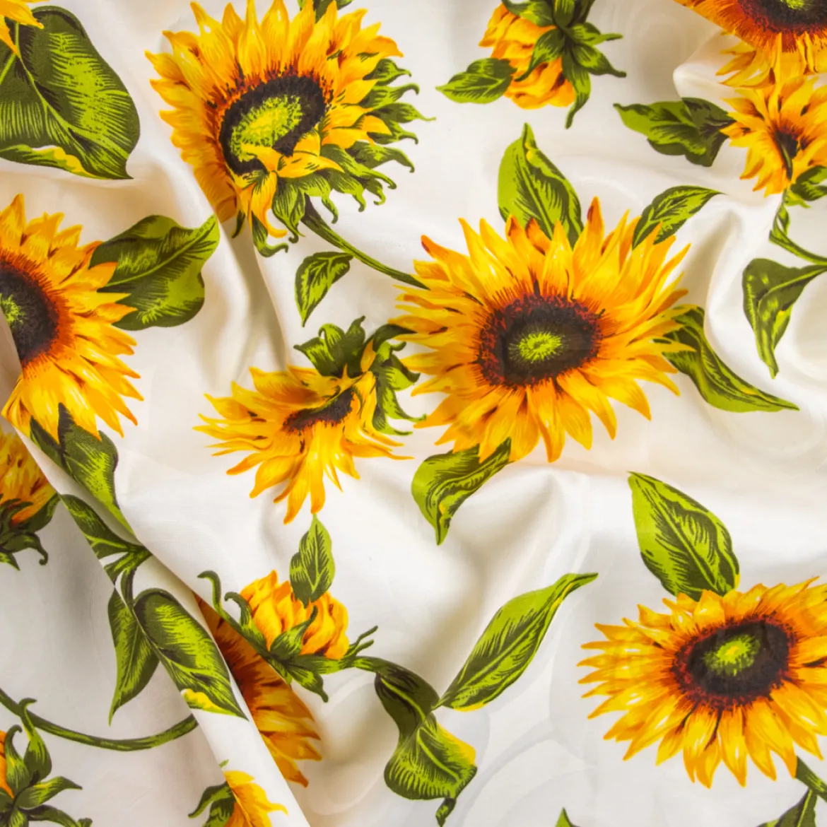 DAMASCATO RAFFA GIRASOLI