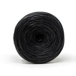 Fettuccia Eco Matt gomitolo da 300g