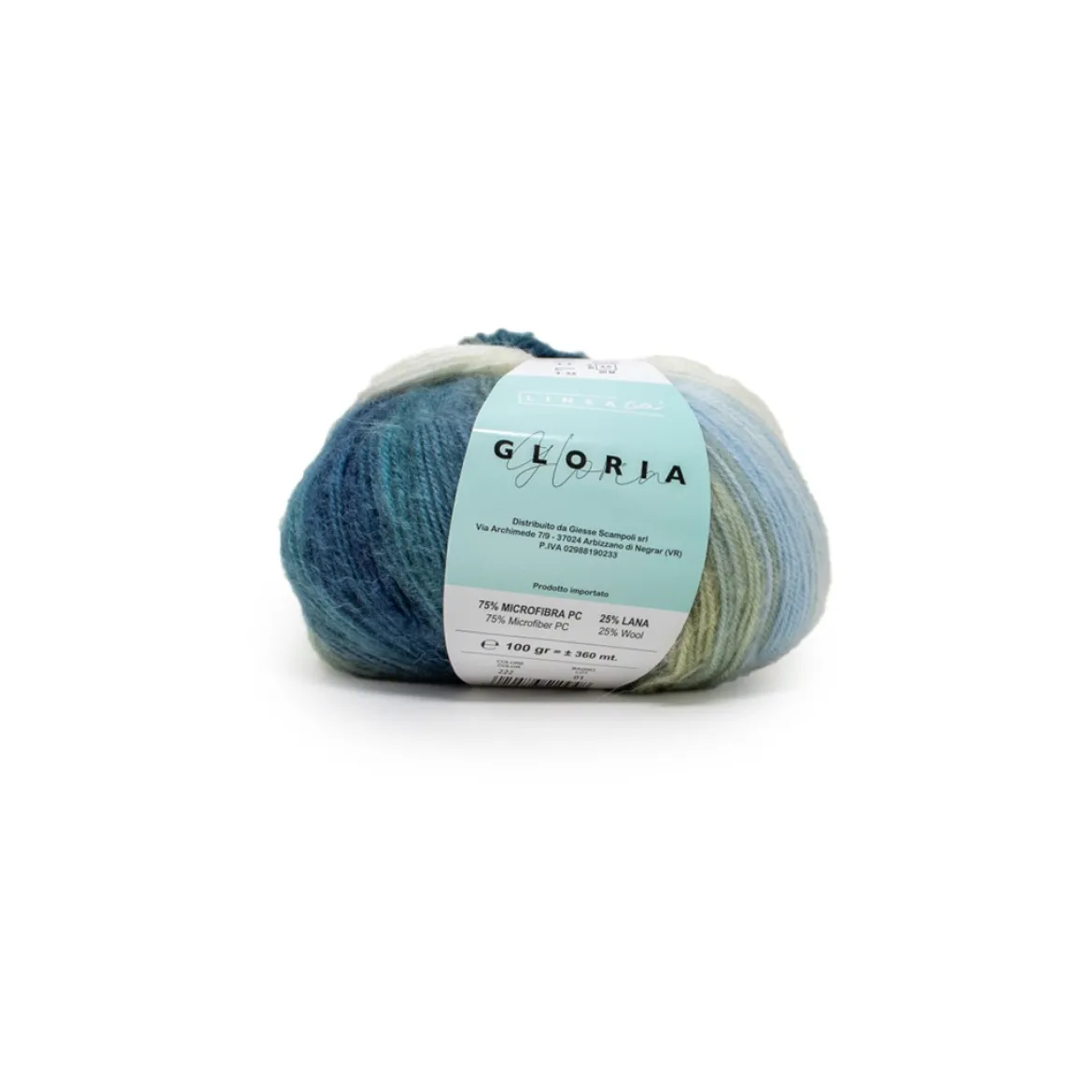 Filato Gloria gomitolo da 100g