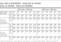 Gallia, Wickinger