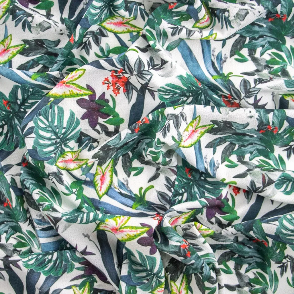 GEORGETTE NICOLETTA FORESTA EQUATORIALE