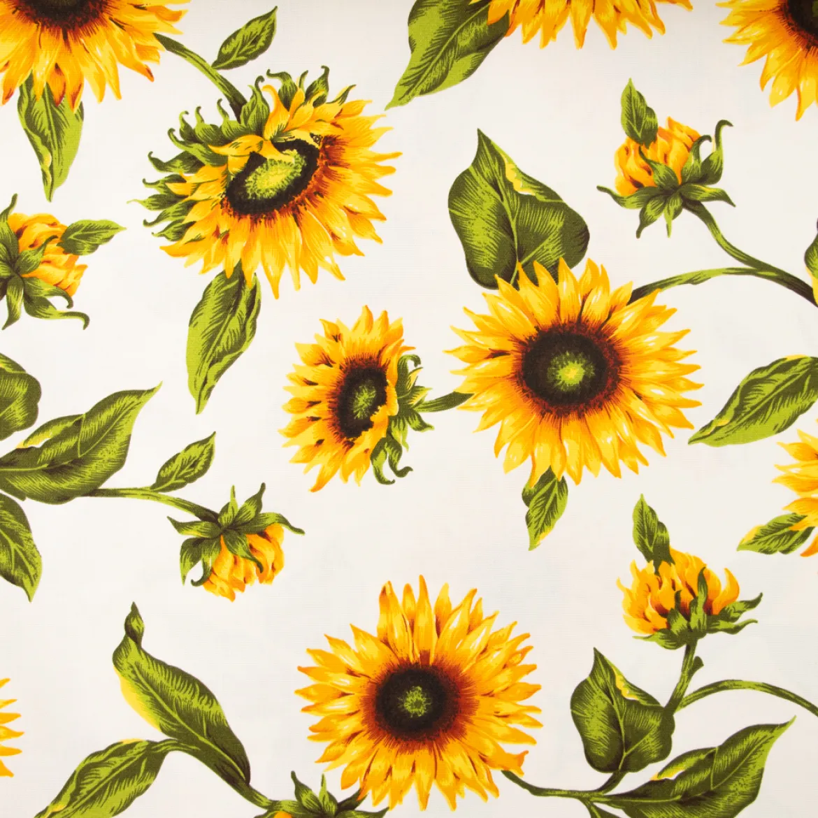 HALF PANAMA GIRASOLI