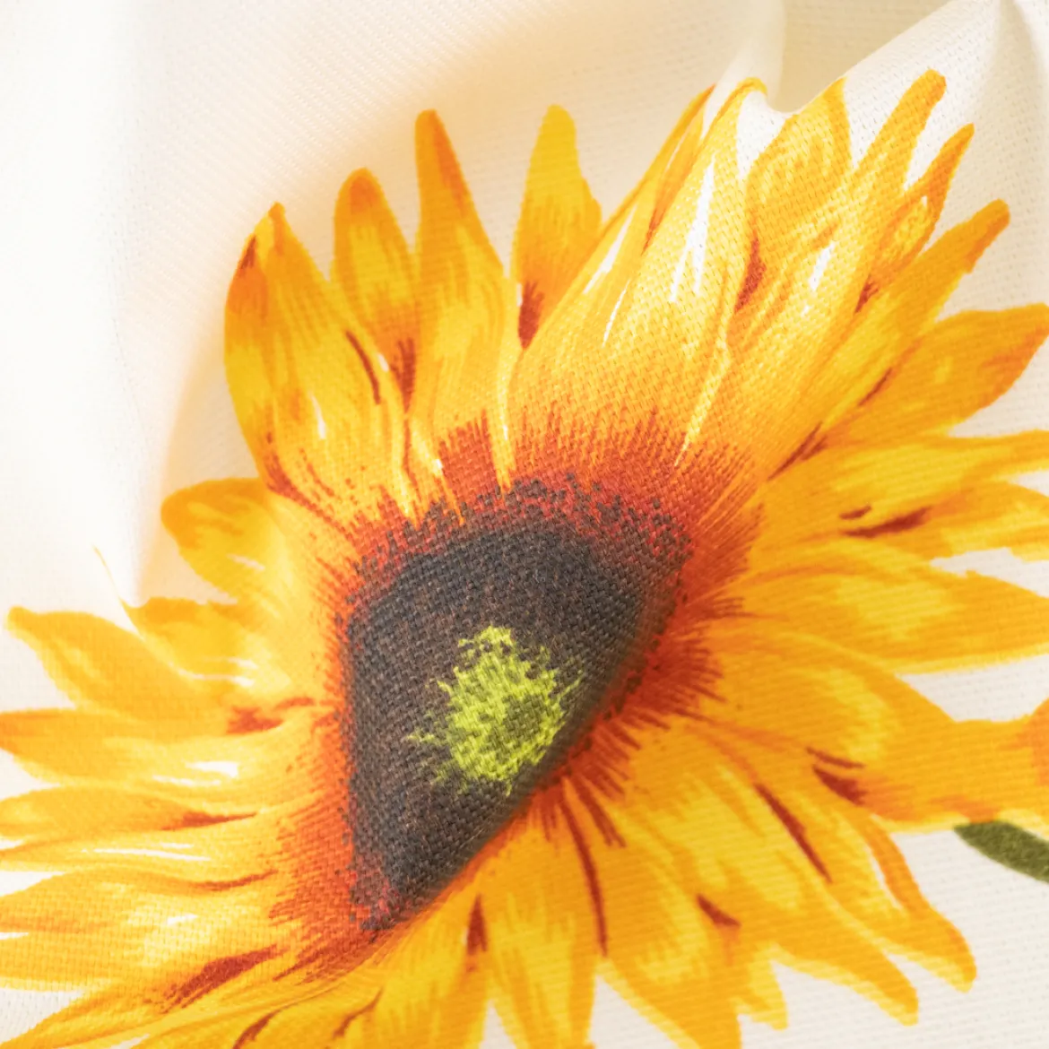 HALF PANAMA GIRASOLI
