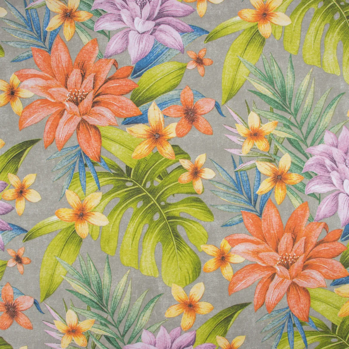 HALF PANAMA RAFFA TROPIC HAWAII