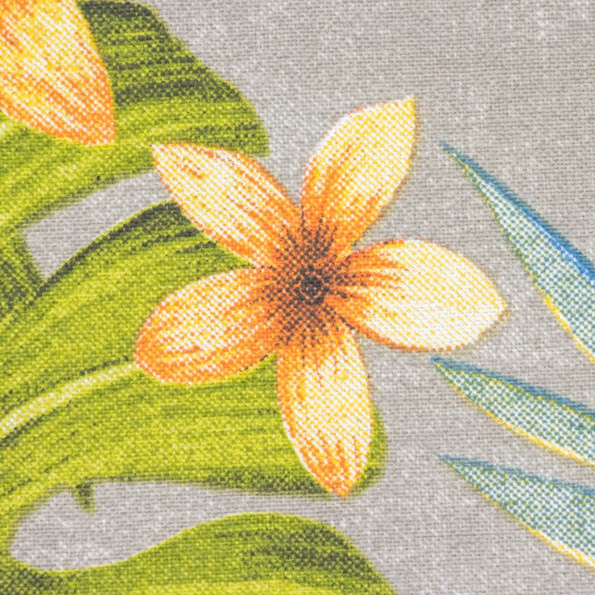 HALF PANAMA RAFFA TROPIC HAWAII