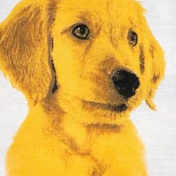 LENZUOLA MODA CANI