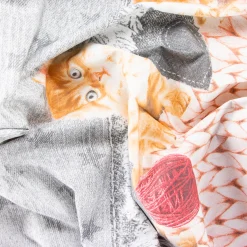 LENZUOLA MODA CUORE GATTI