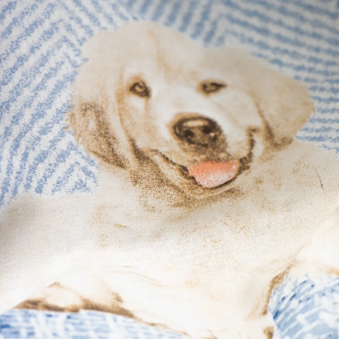 LENZUOLA MODA STELLA CANI