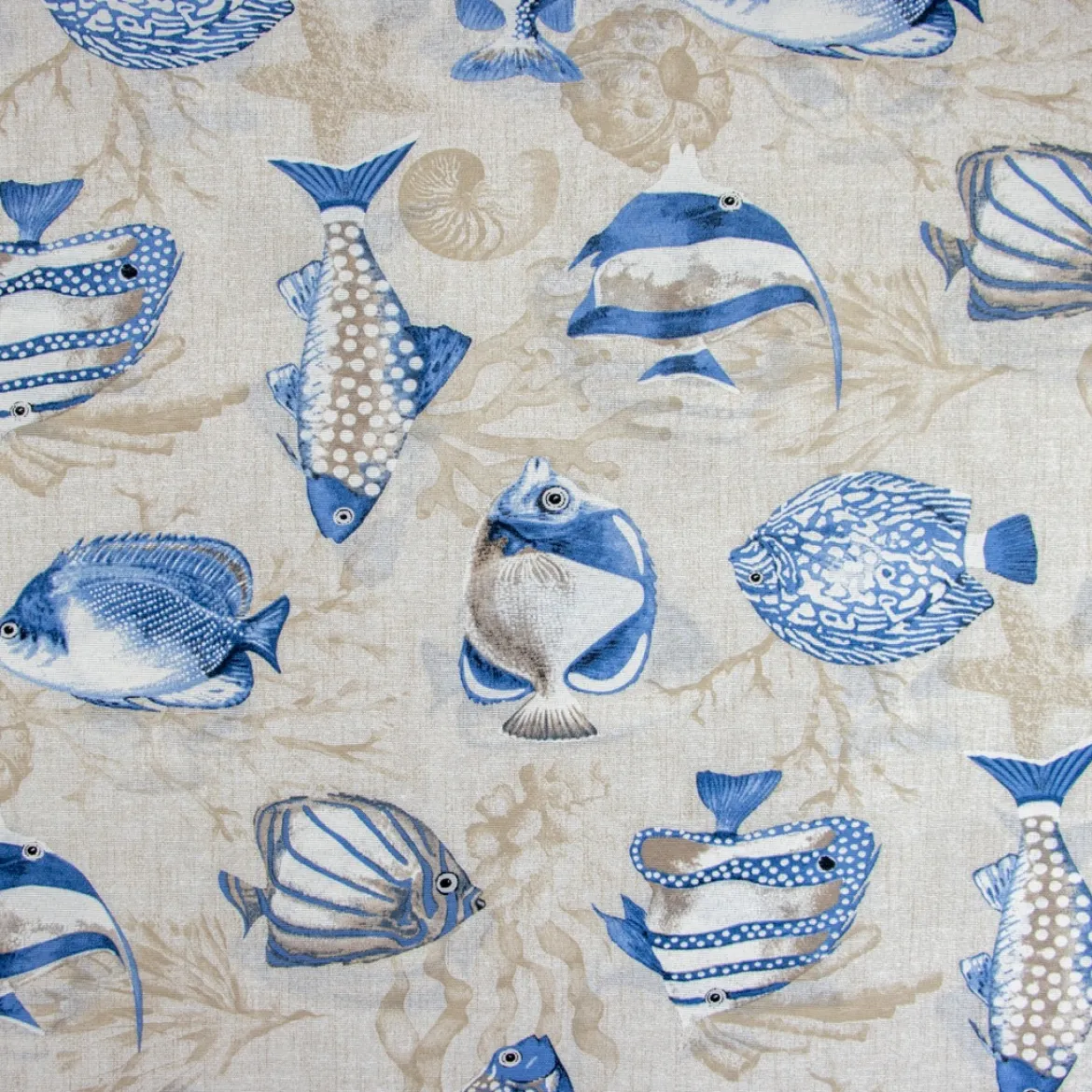LONETA BLUE FISH