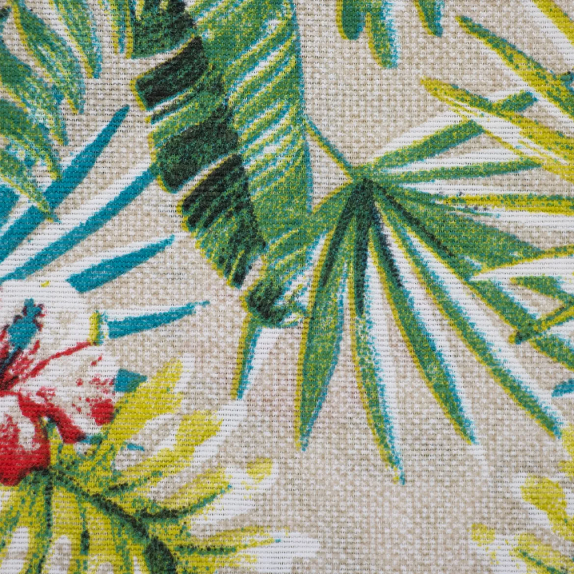 LONETA RAFFAELE DUE PARROT COORD UNICO