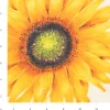 LONETA RESINATO GIRASOLI