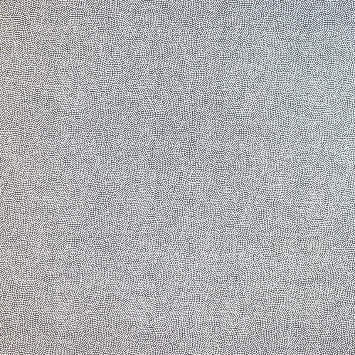 LYCRA PUNTINATA