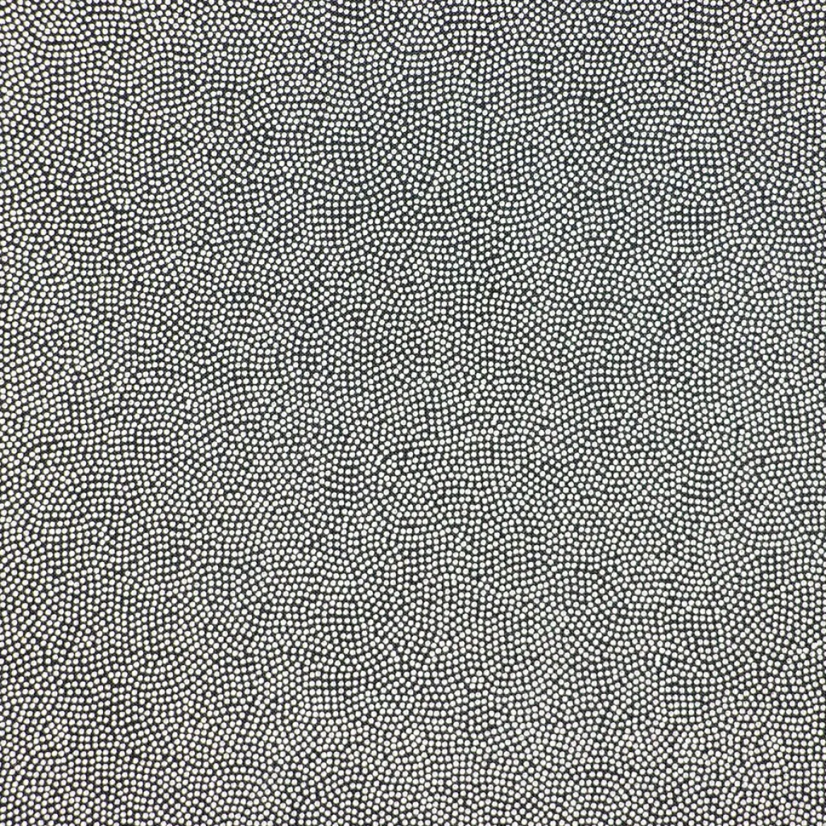 LYCRA PUNTINATA