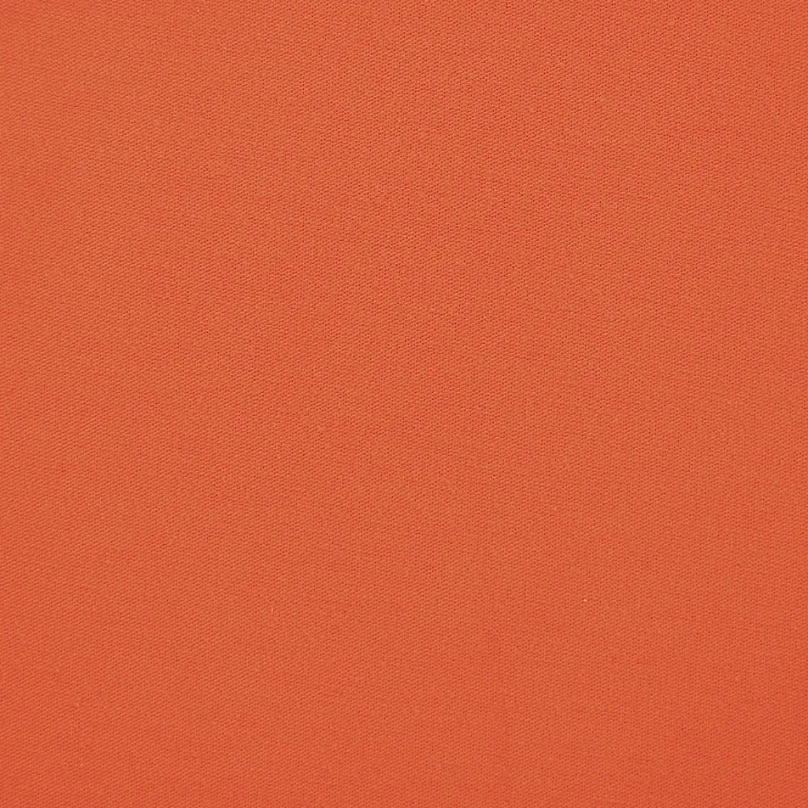 MAGLIA COTONE BIELASTICA