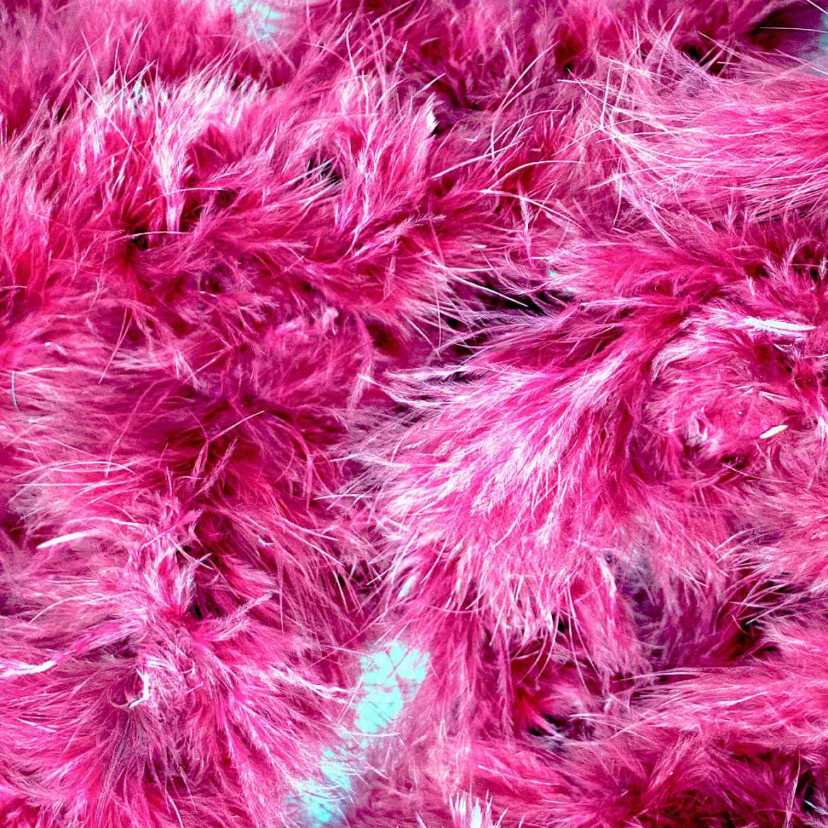 Marabou