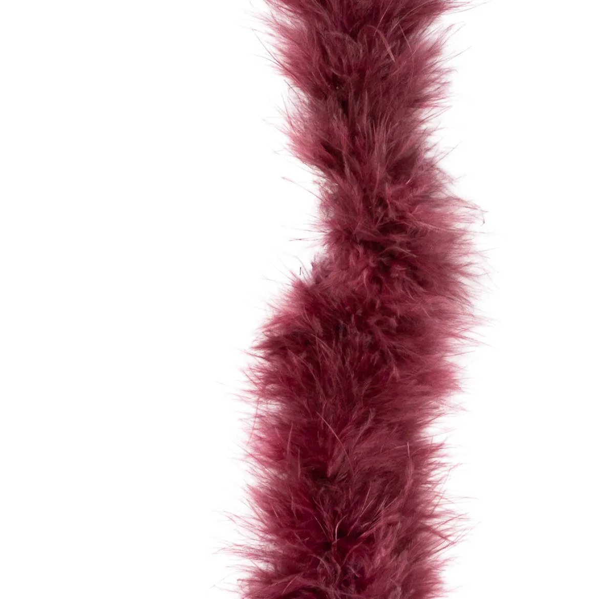Marabou