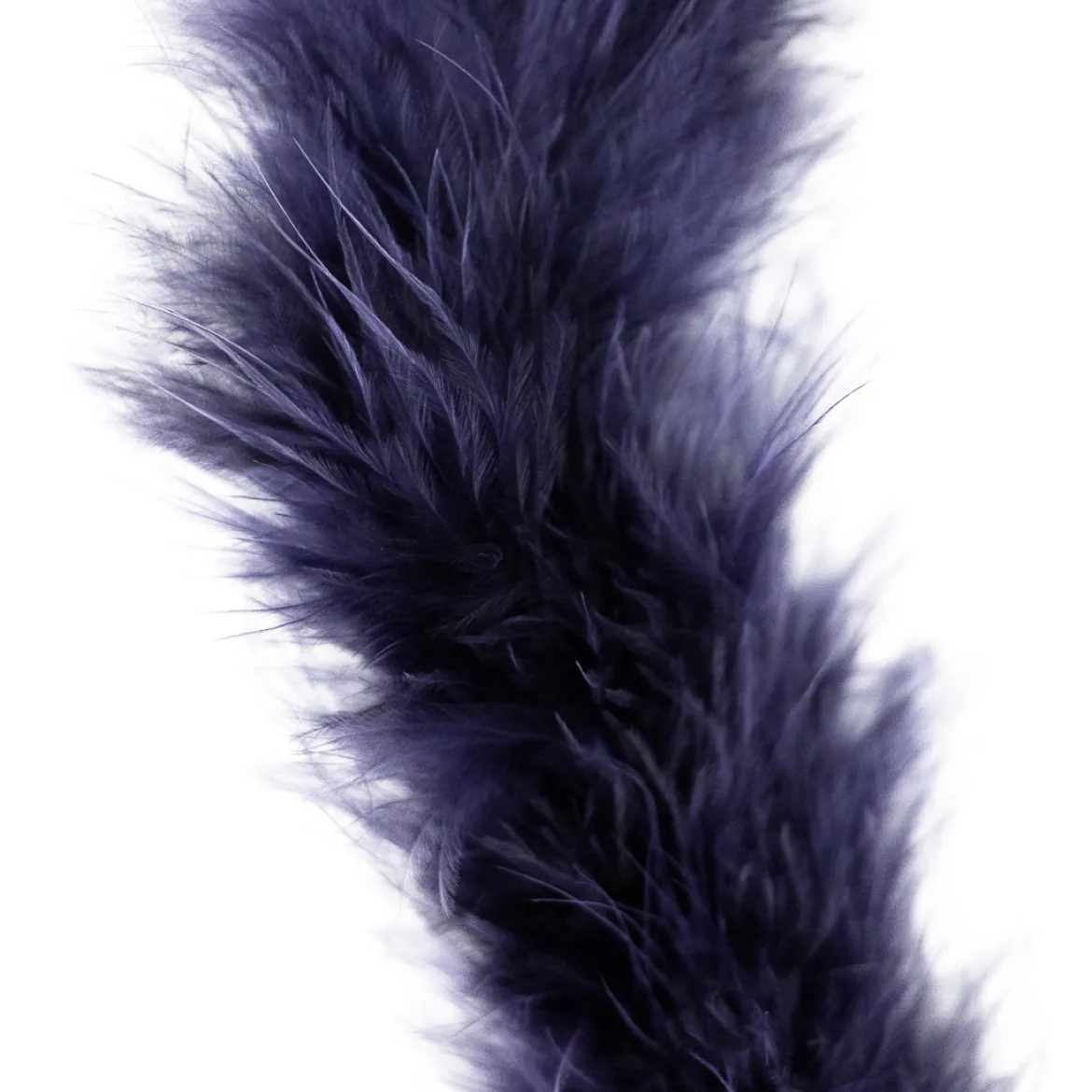 marabou